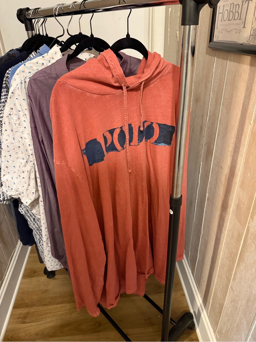 Polo by Ralph Lauren Rust Red Hoodie with Navy Logo - Picture 1 of 1